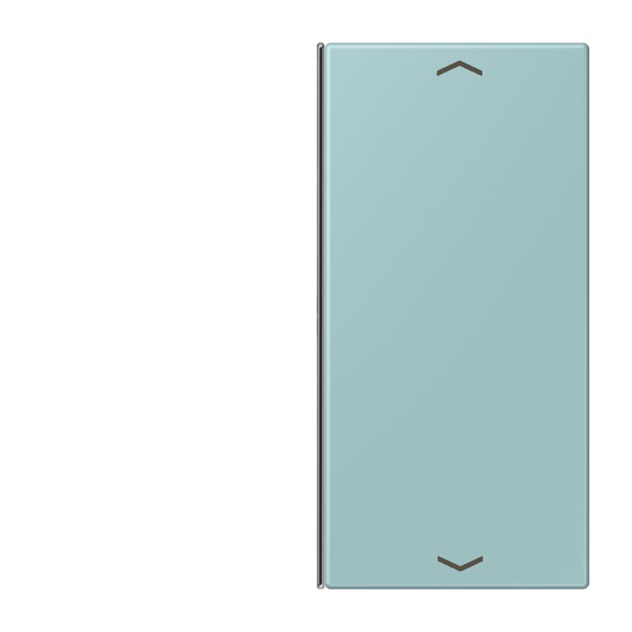 Vervangingswip F40 2-voudig pijl LC32033 KNX