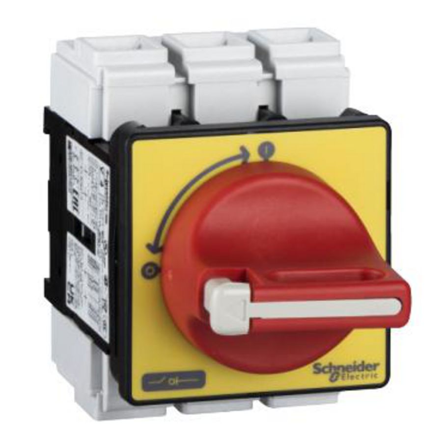 Lastscheider/noodstop 3M 80A Te monteren op deur TeSys Vario