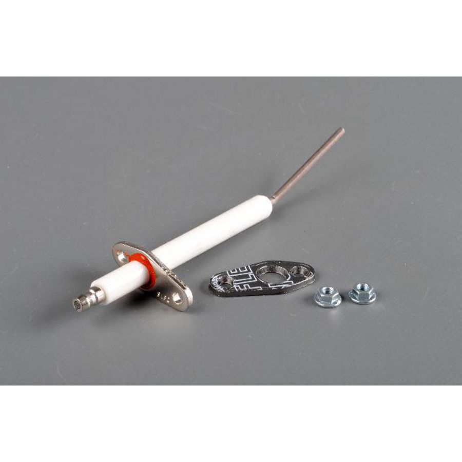 Electrode inonisatie