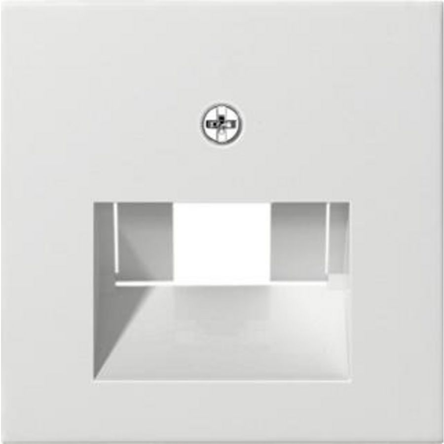 Afdekking UAE/IAE + netwerkaansluitdoos System 55 z.wit