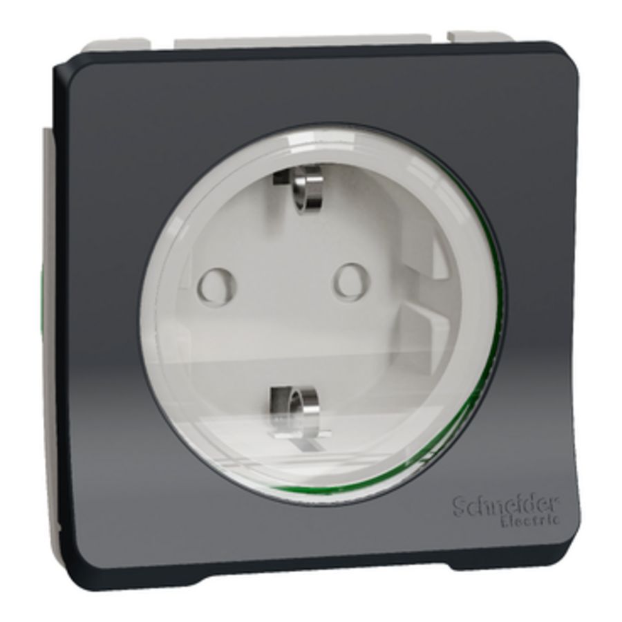 Inzetstuk Wandcontactdoos 16A 2P+E IP55 Grijs/An Mureva Styl