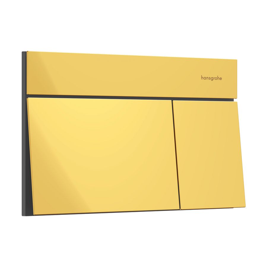 Drukplaat iFrame Element E dual flush Polished Gold-Optic