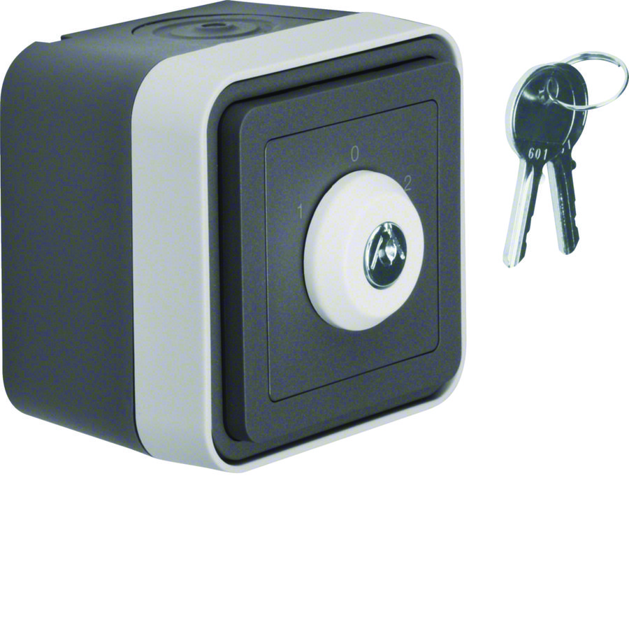 Jaloezie-sleutelschakelaar+behuizing W.1 grijs