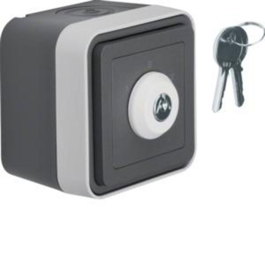 jaloezieschakelaar -sleutelschakelaar behuizing berker W.1 grijs