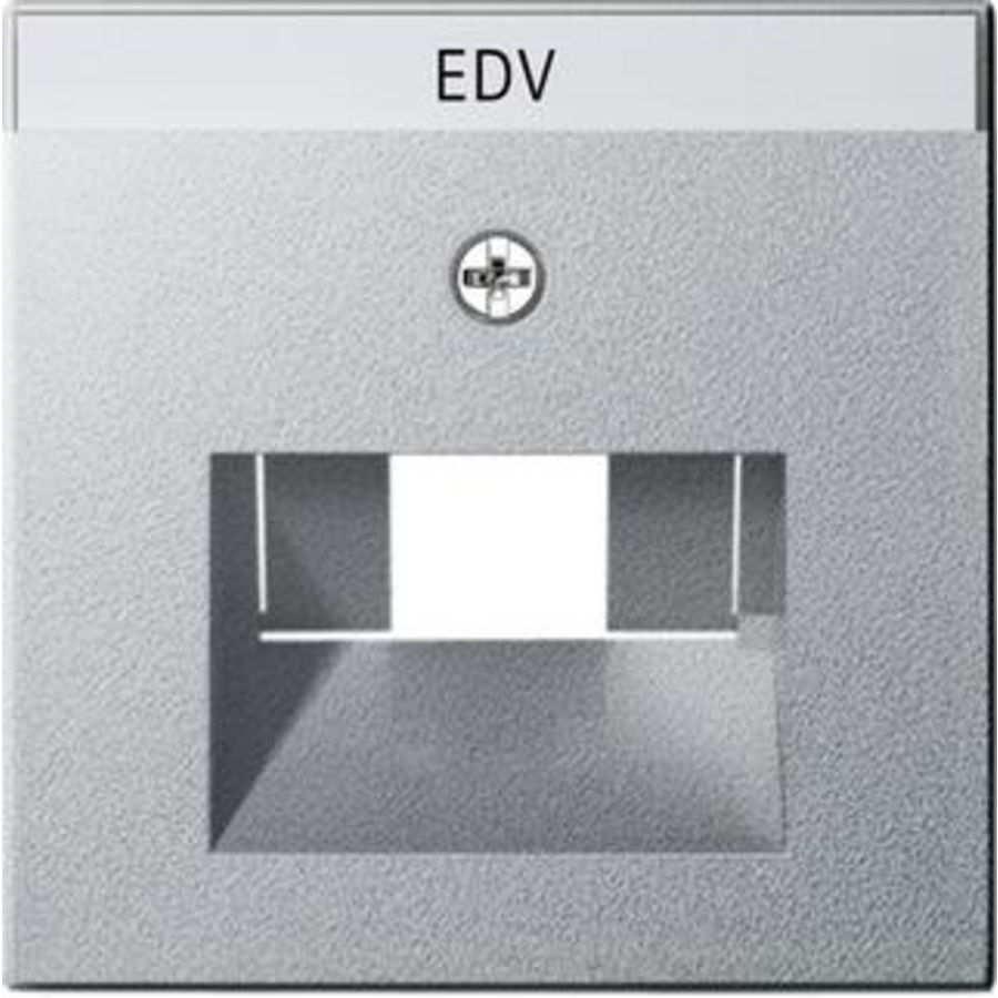 Afdekking TK UAE/IAE- + netwerkaansluitdoos System 55 kl.alum.
