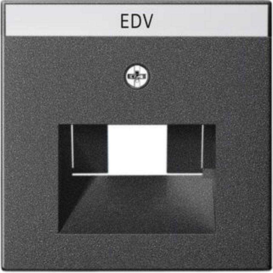 Afdekking TK UAE/IAE- + netwerkaansluitdoos System 55 antraciet