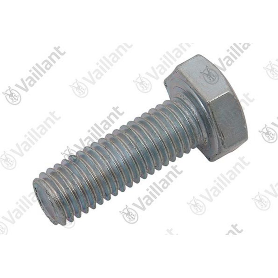 Schroef H M10 - 30 Zn voor bracket 100L