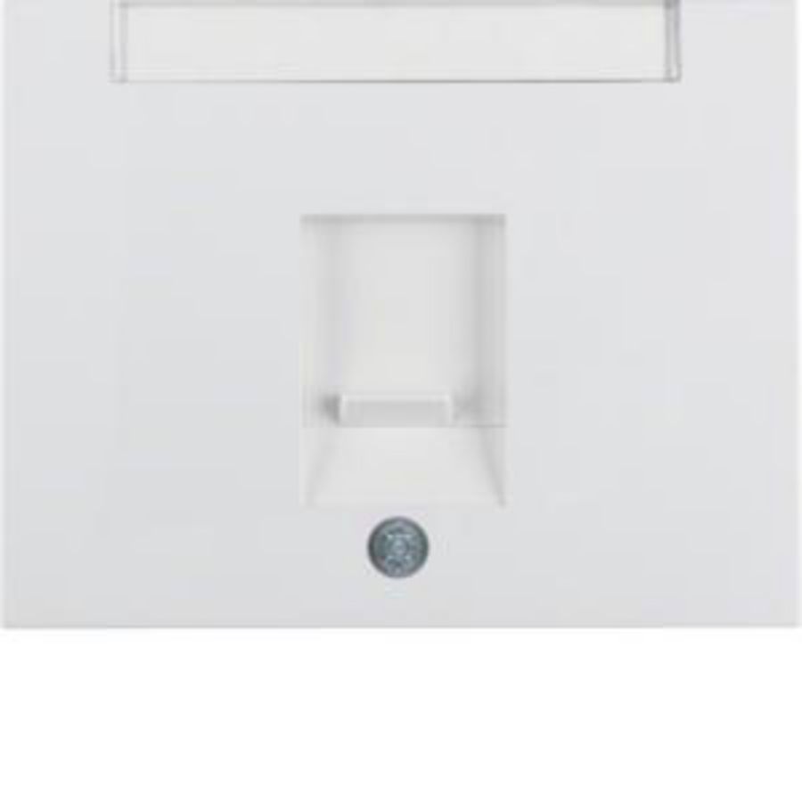 Centraaldoos RJ-datacontactd 1v stof berker K.1/K.5 polarwit