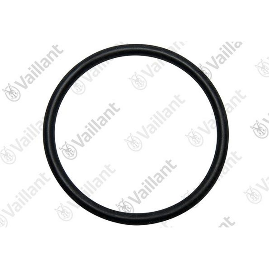 O-ring 1.1/2" 0020248445