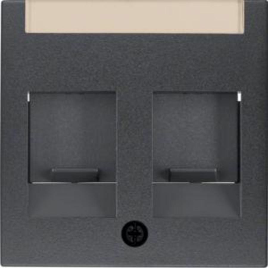 Centraaldoos RJ-datacontactd. 2v berker S.1/B.3/B.7 antraciet