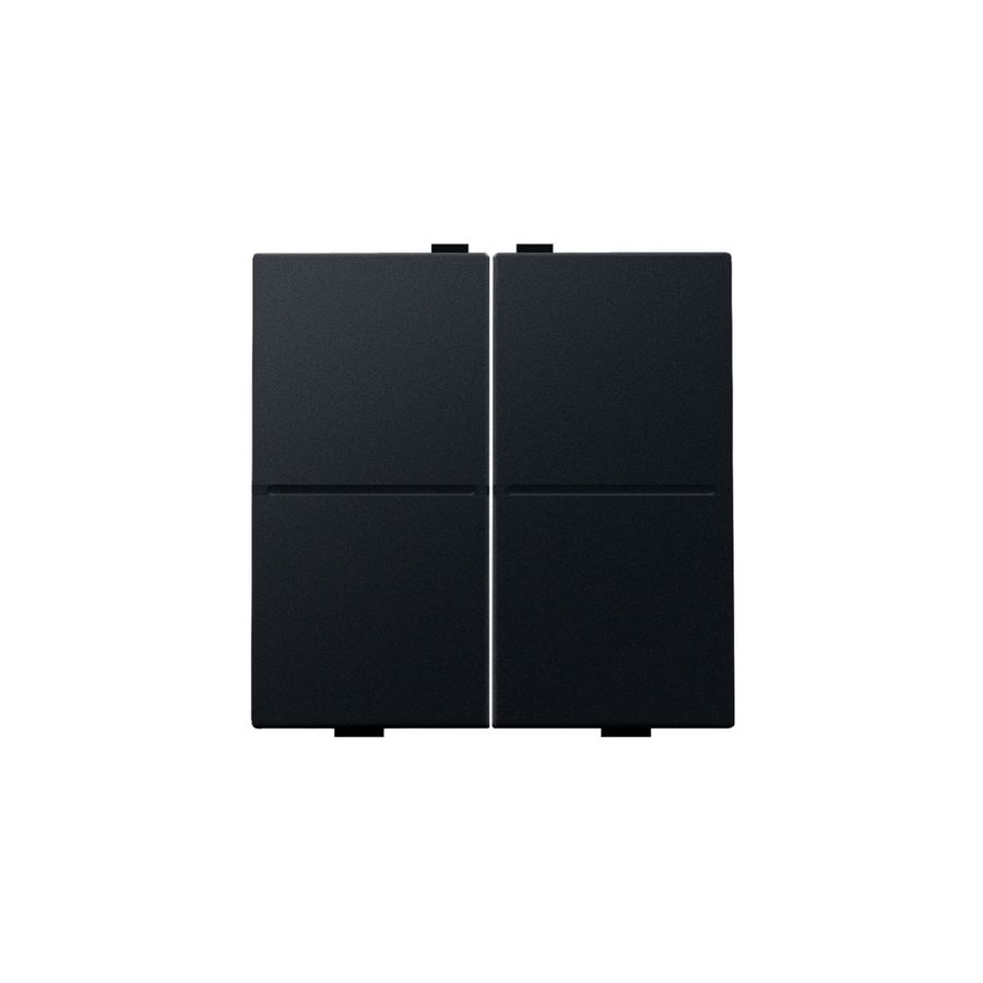 2-voudige toets RF schakelaar/drukknop black