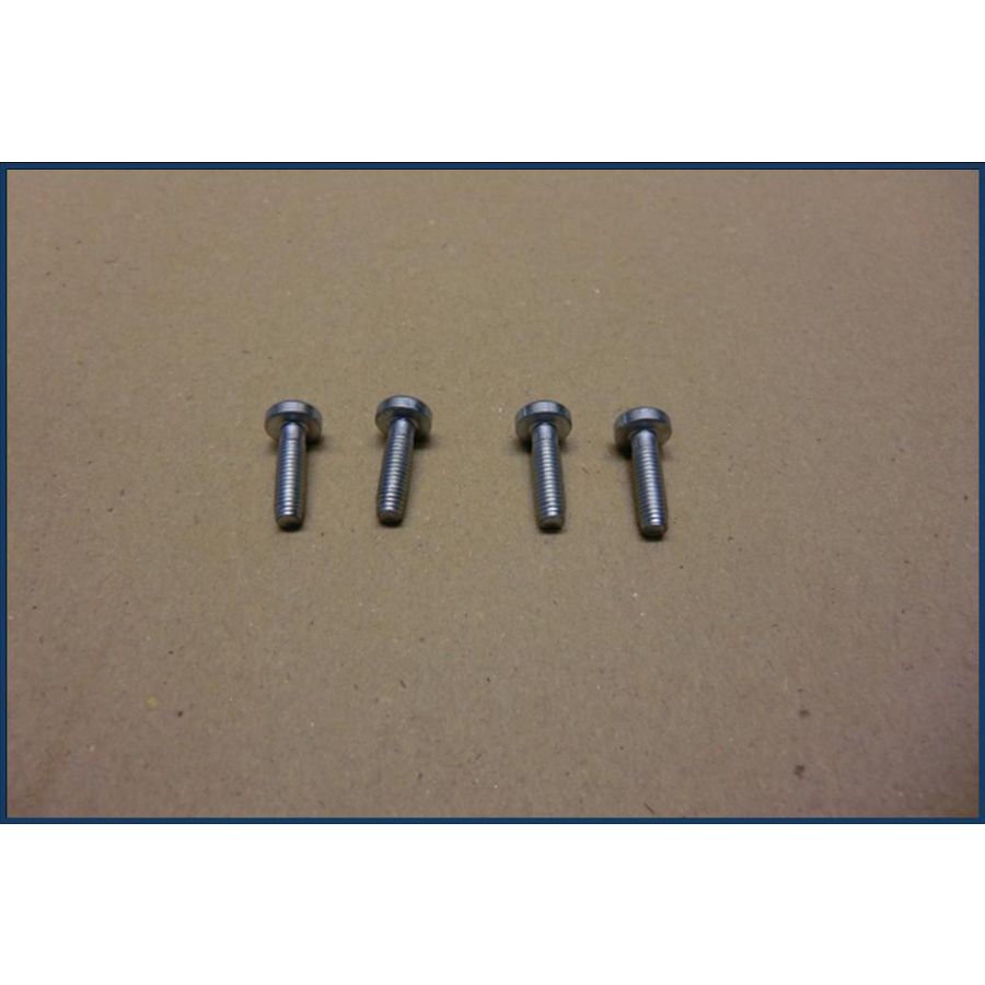 Schroef zelftapper 8718600754