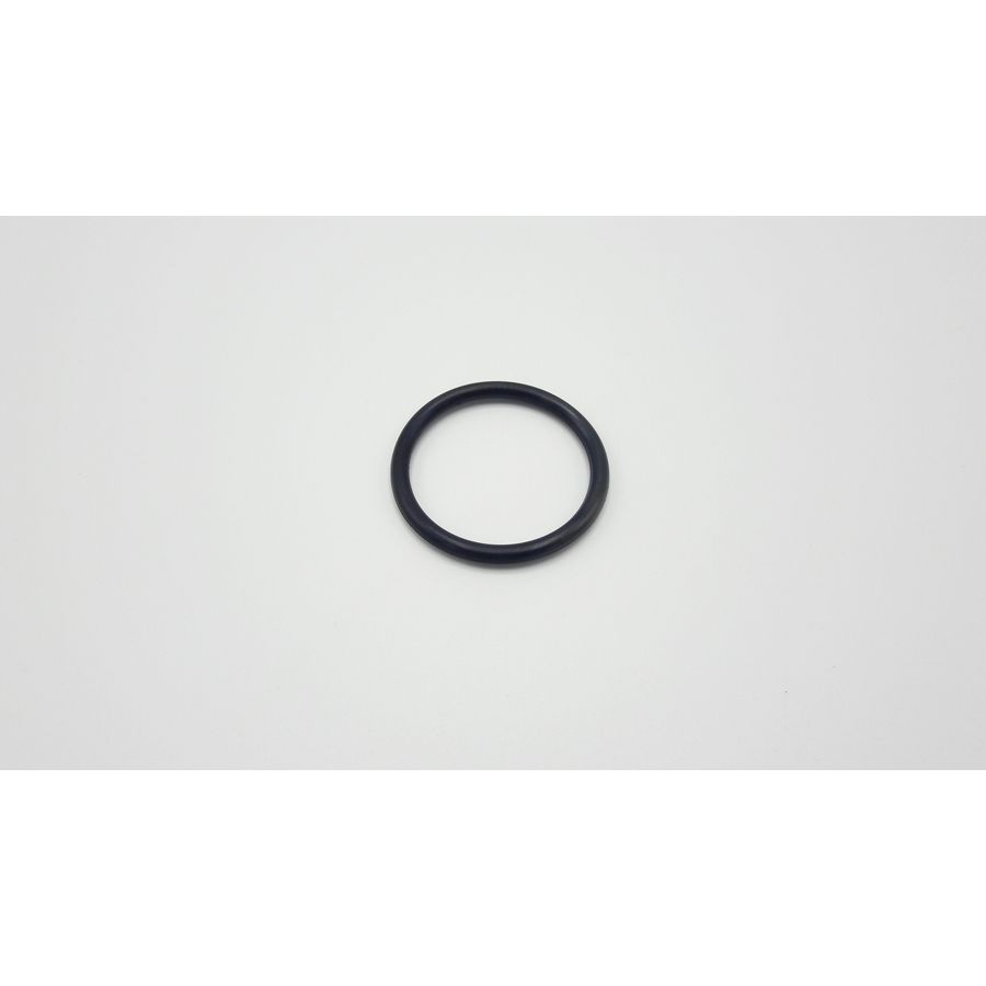 O-ring voor dompelbuis 1.1/2" S102153