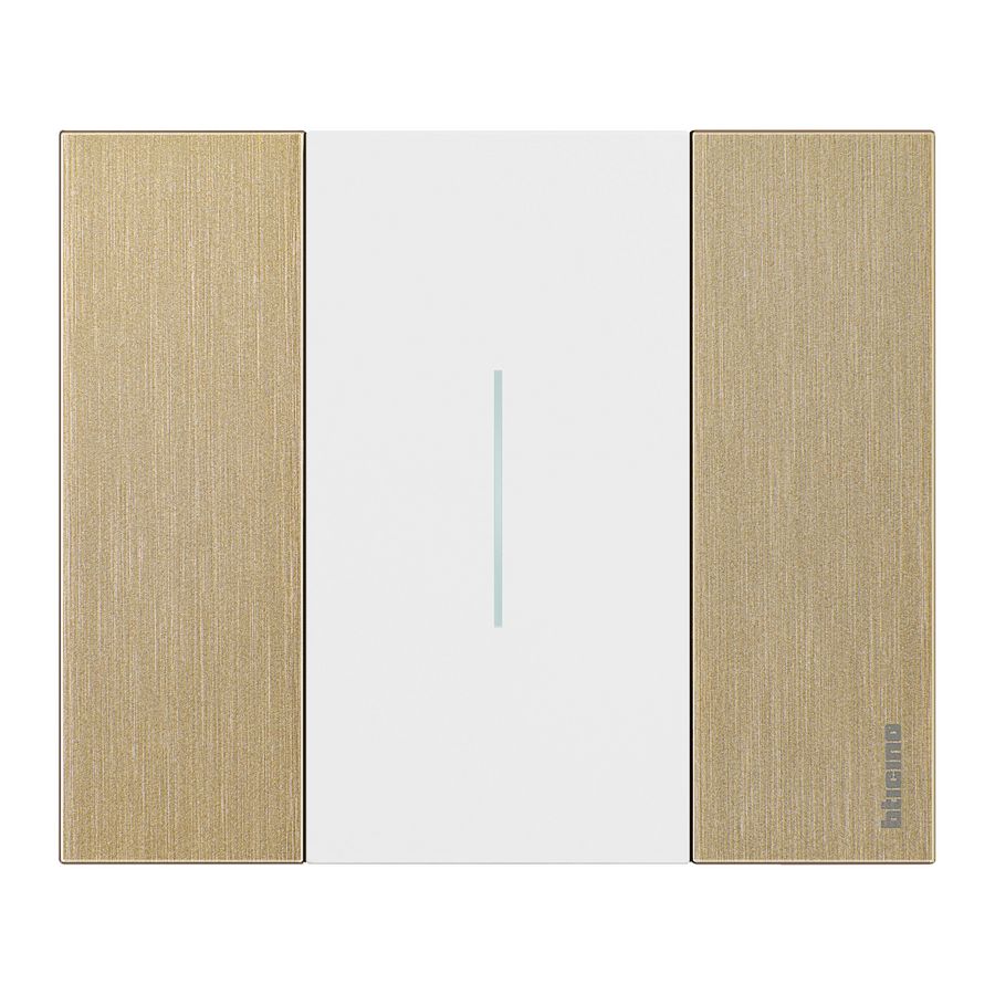 Afdekplaat 2 modulen goud K4702 LivingNow