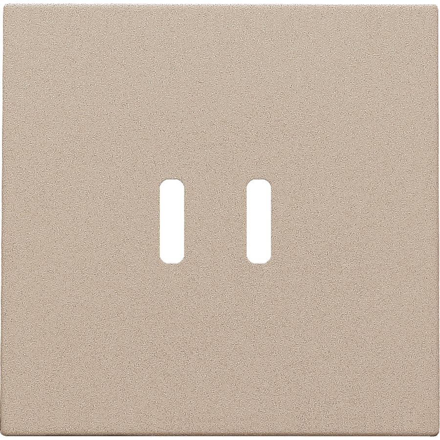 Afwerkingsset dubbele smart USB-C-lader champagne coated