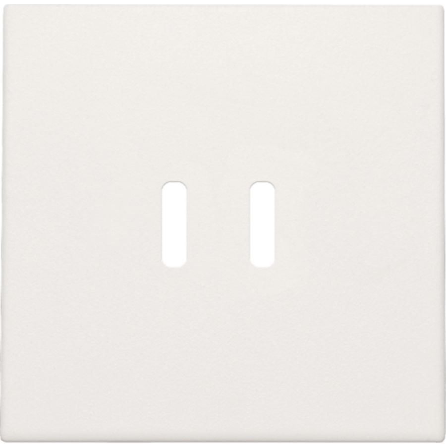 Afwerkingsset dubbele smart USB-C-lader white