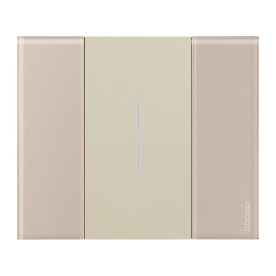 Afdekplaat 2 modulen aura K4702 LivingNow
