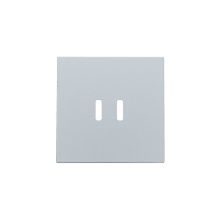 Afwerkingsset dubbele smart USB-C-lader sterling coated