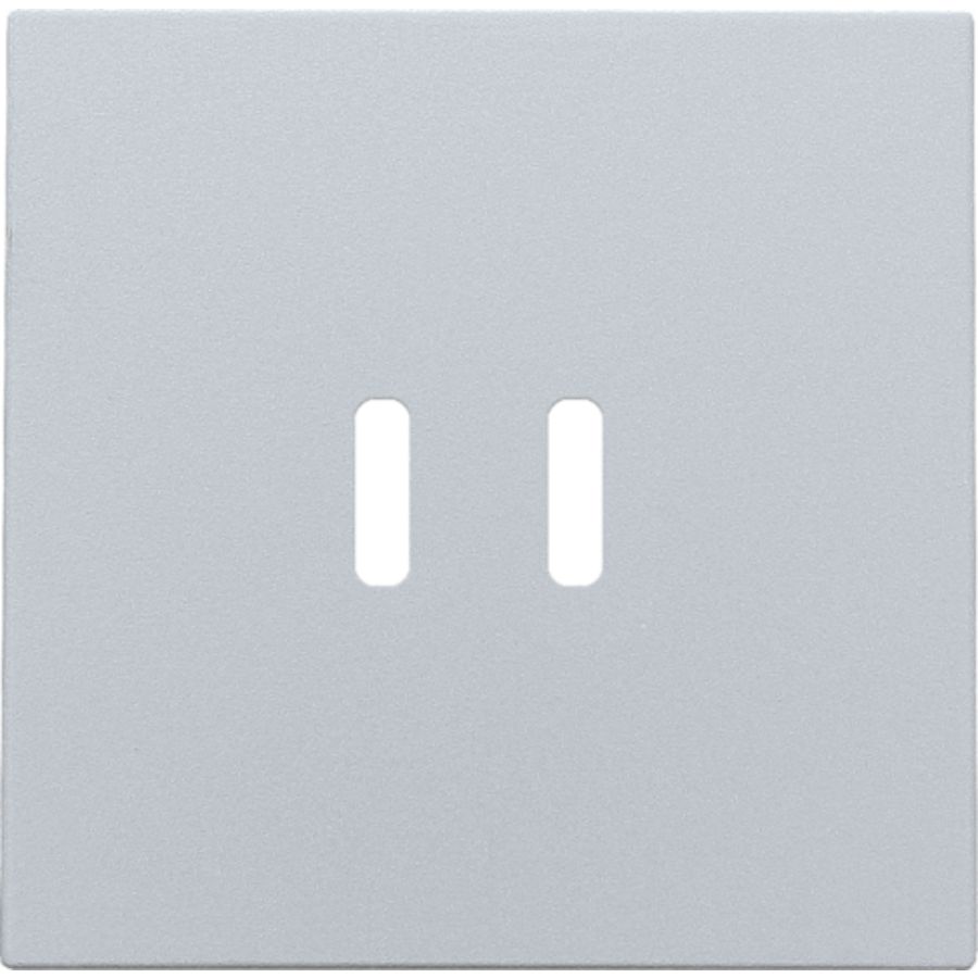 Afwerkingsset dubbele smart USB-C-lader sterling coated