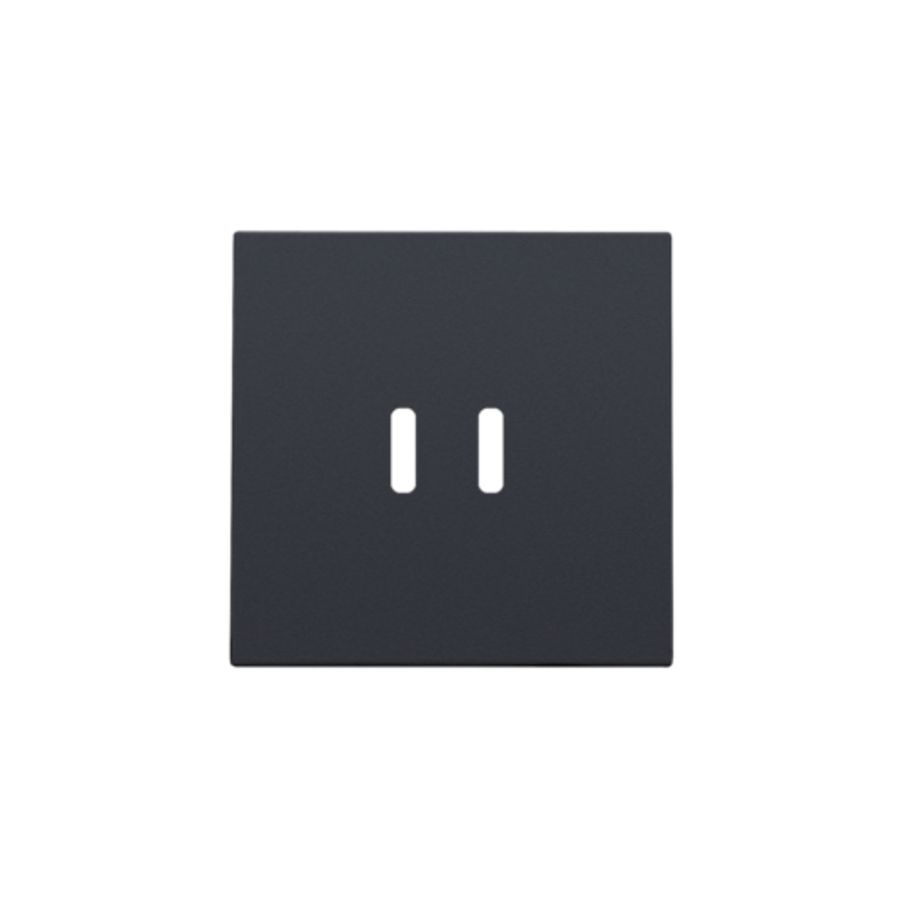 Afwerkingsset dubbele smart USB-C-lader anthracite coated