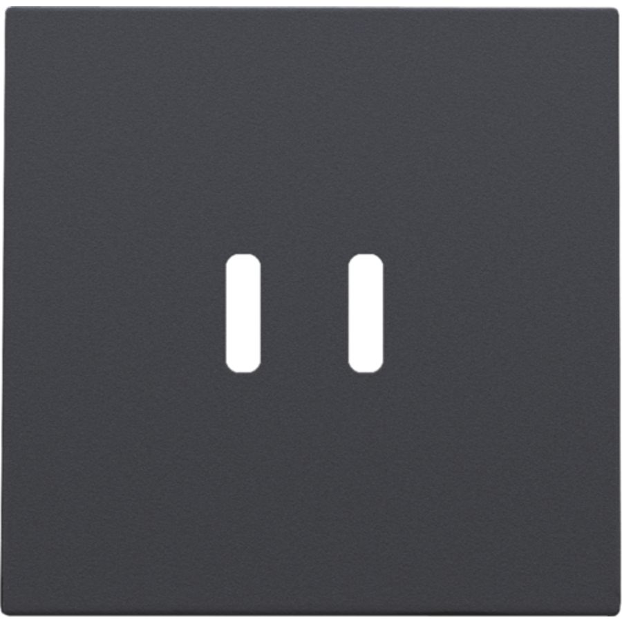 Afwerkingsset dubbele smart USB-C-lader anthracite coated