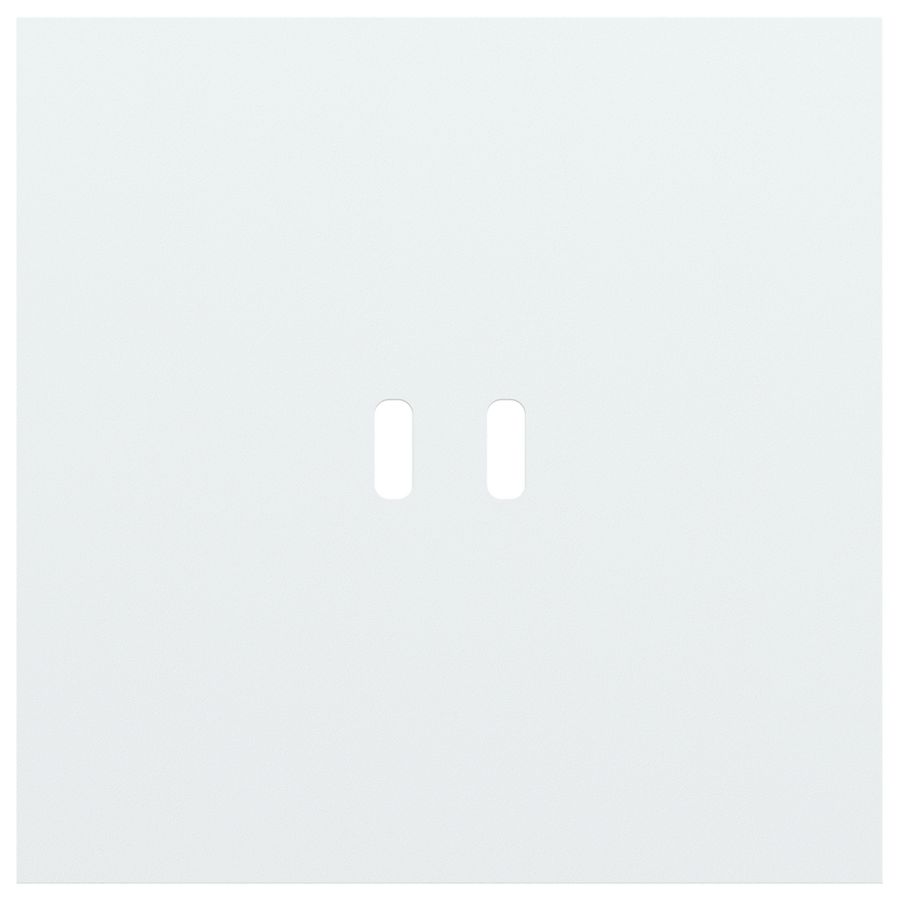 Enkelvoudige afdekplaat voor dubbele USB-C lader 154-74103