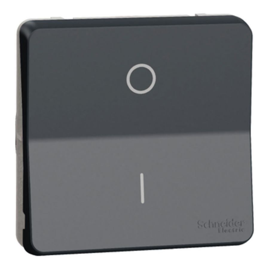 Inzetstuk Tweepolige schakelaar I/O opdruk IP55 Mureva Styl