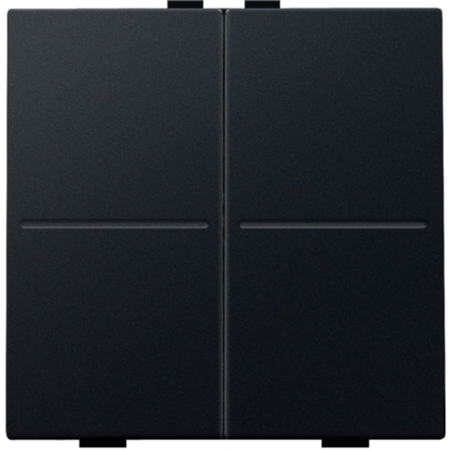 2-voudige toets RF schakelaar/drukknop black