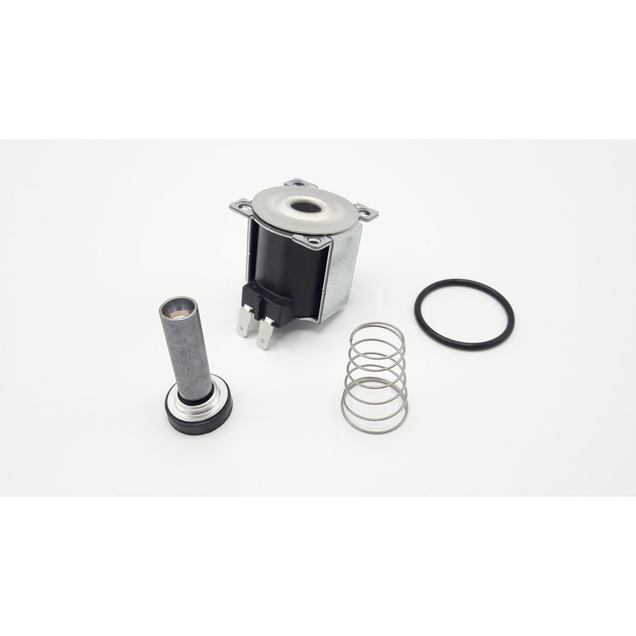 Spoel (r) incl. o-ring voor gasverdeelstuk whc S102317