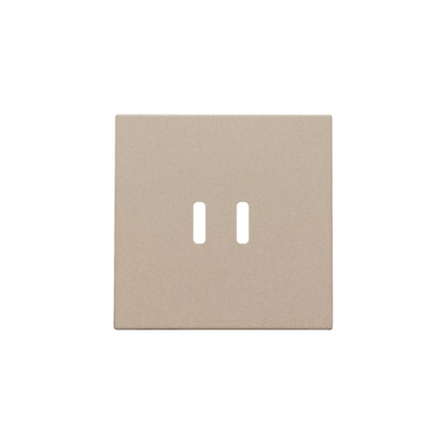 Afwerkingsset dubbele smart USB-C-lader champagne coated