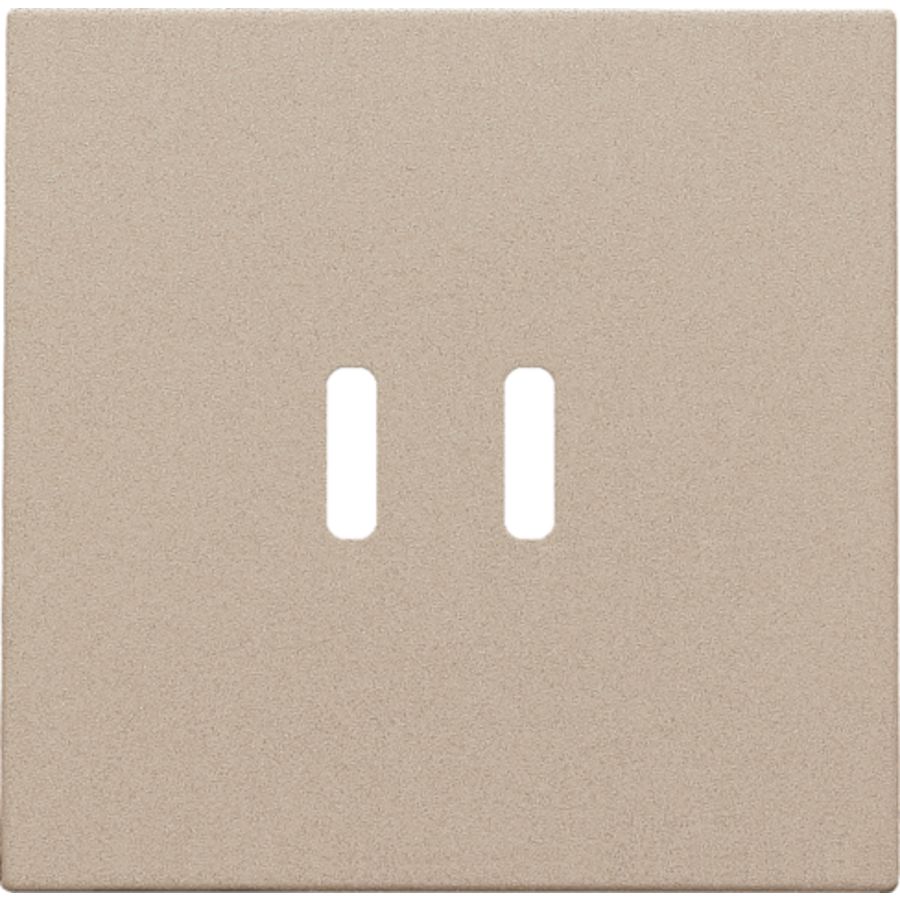 Afwerkingsset dubbele smart USB-C-lader champagne coated