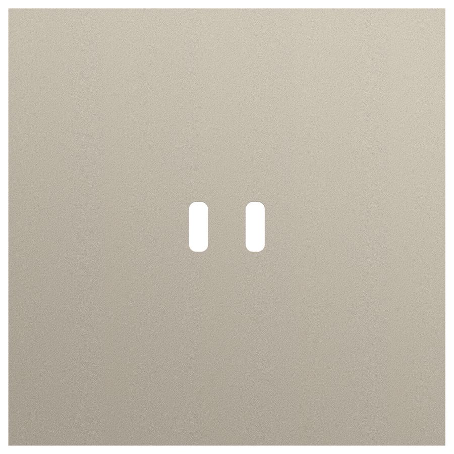 Enkelvoudige afdekplaat voor dubbele USB-C lader 166-74103