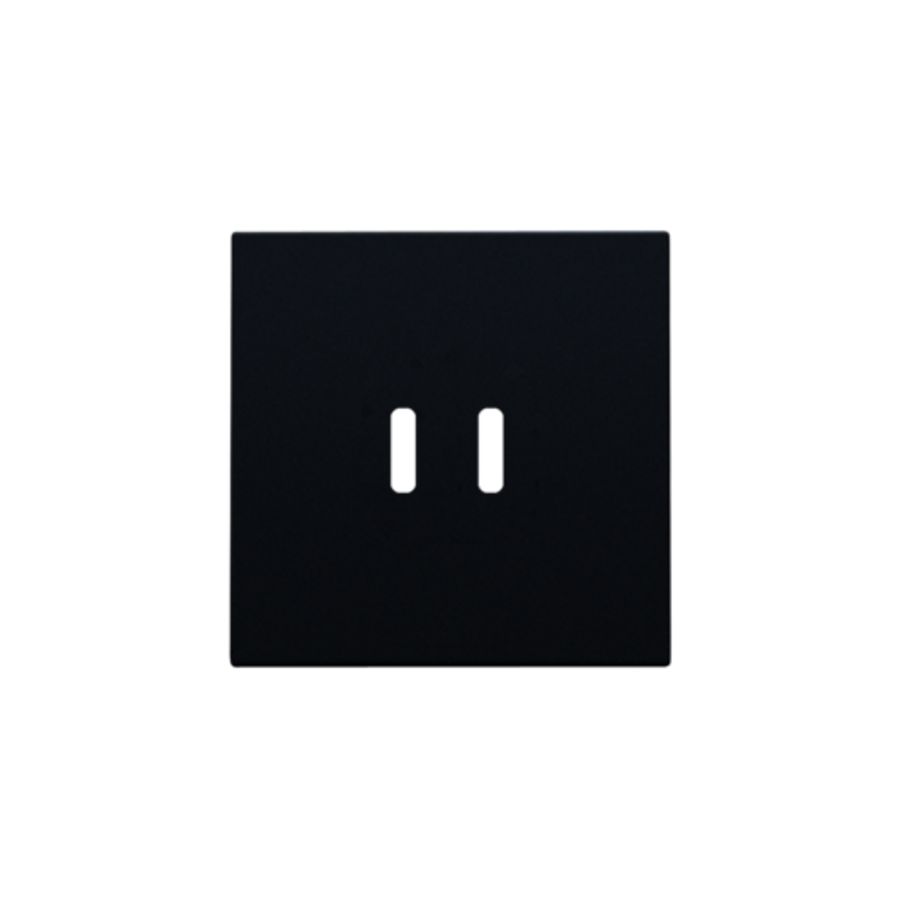 Afwerkingsset dubbele smart USB-C-lader black coated