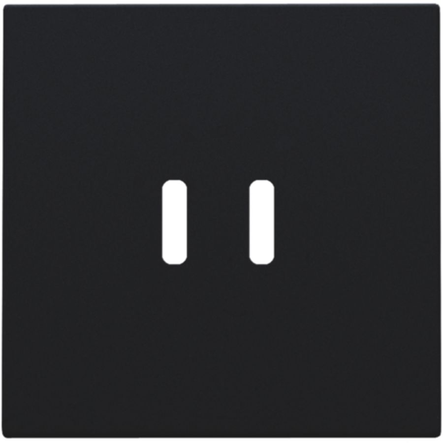 Afwerkingsset dubbele smart USB-C-lader black coated