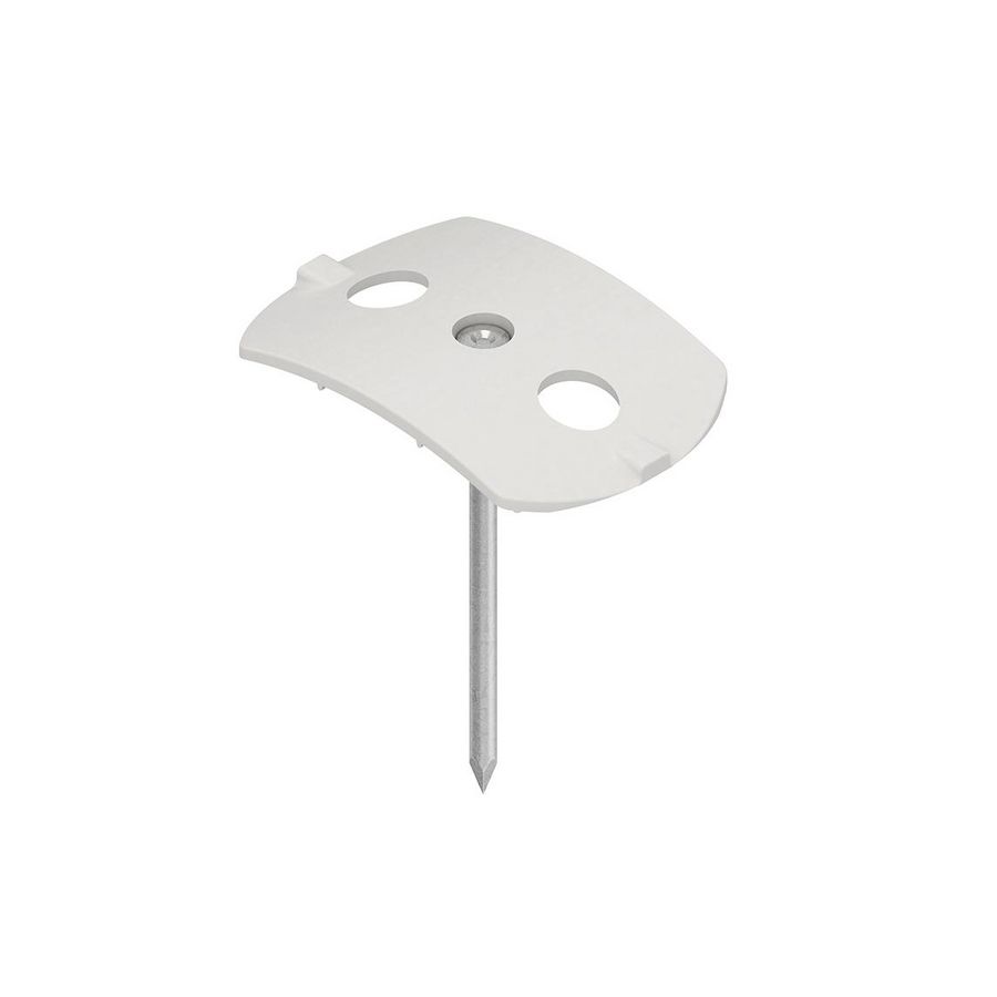 Nagel met schijf 790/50 VVE=50