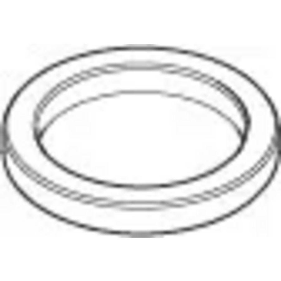 Ring 28,9mm 09281013990