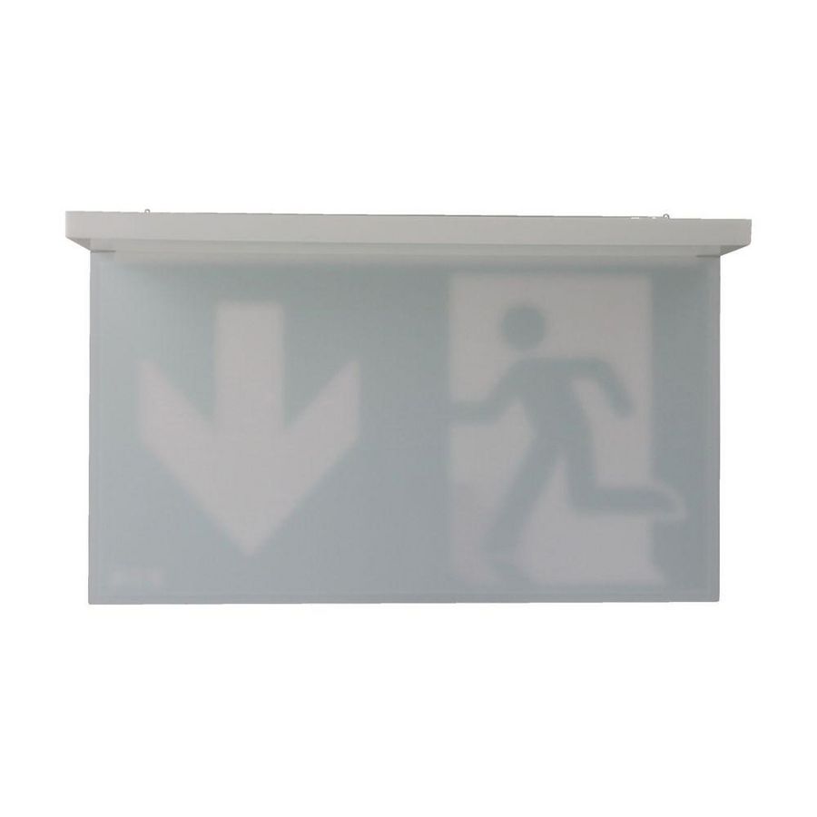 Pictogramplaat opaal kit 30m ISO C+Z pijl omlaag+blind