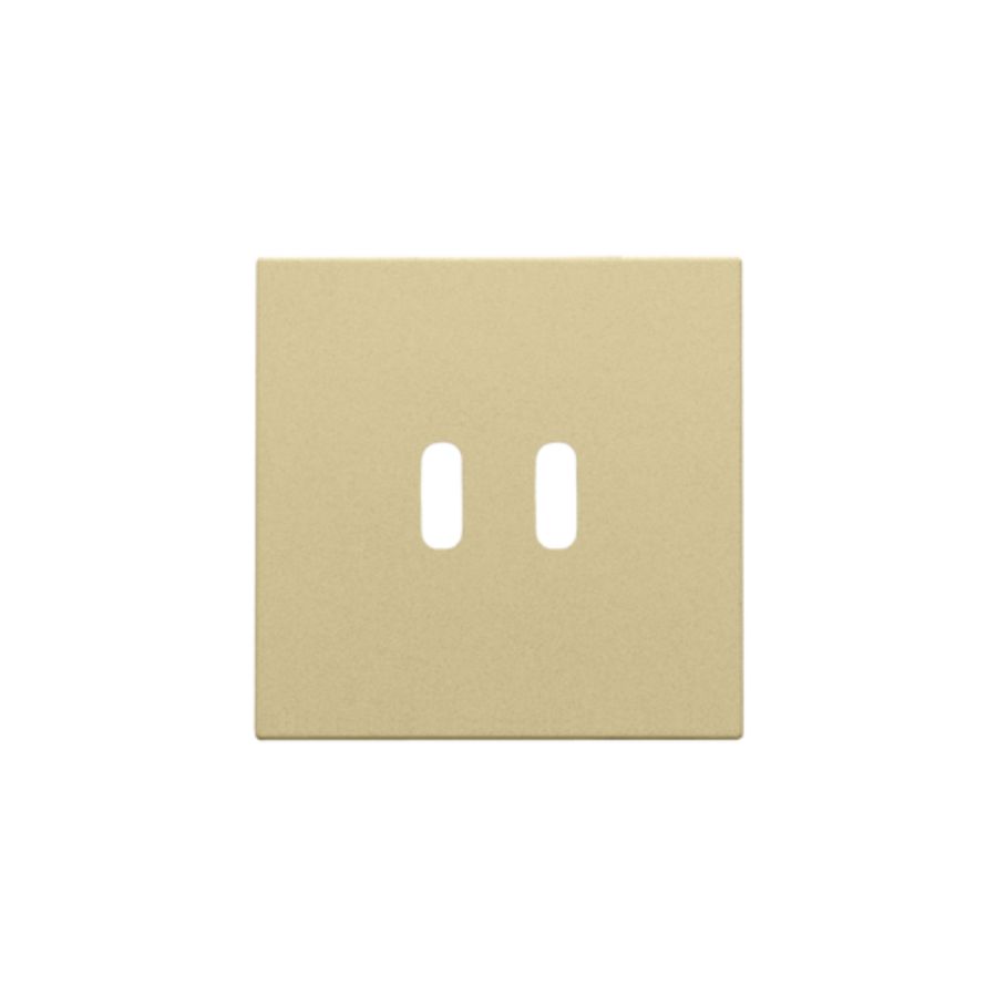 Afwerkingsset voor dubbele smart USB-C-lader gold coated