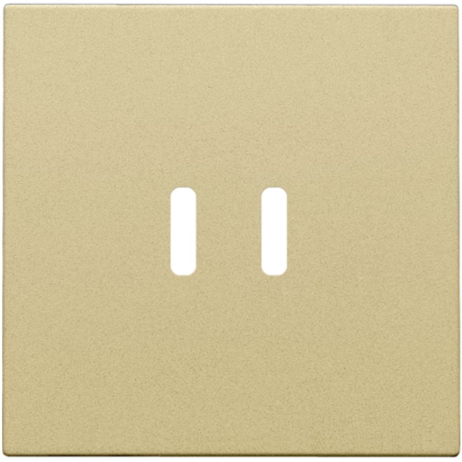 Afwerkingsset voor dubbele smart USB-C-lader gold coated