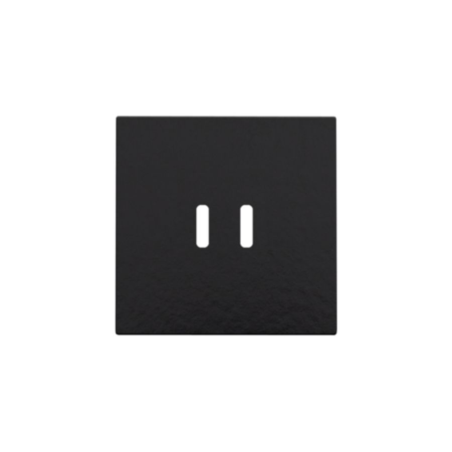 Afwerkingsset dubbele smart USB-C-lader piano black coated