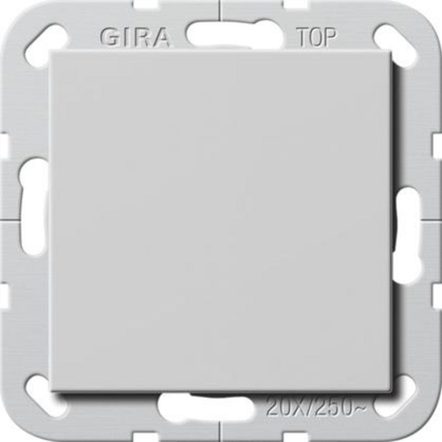 Wipschakelaar BS 20AX uit 2-p System 55 grijs m