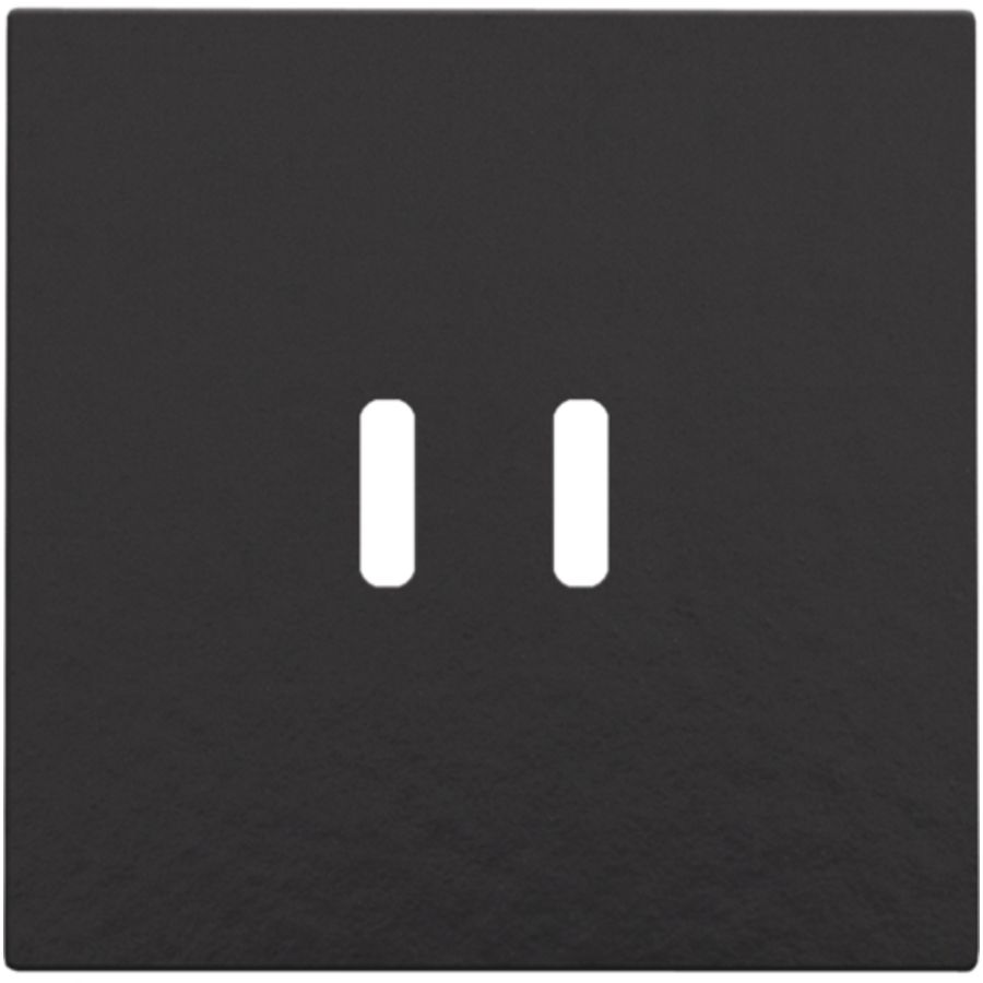 Afwerkingsset dubbele smart USB-C-lader piano black coated