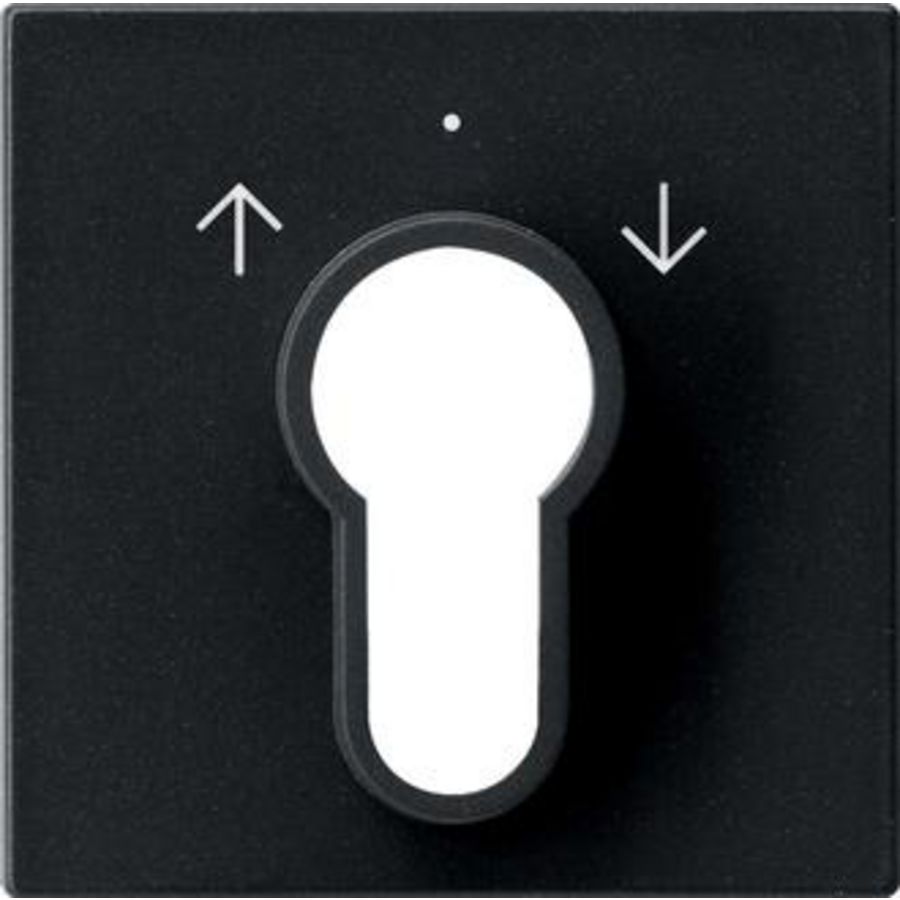 Afdekking sleutelschakelaar /-drukcontact System 55 zwart m