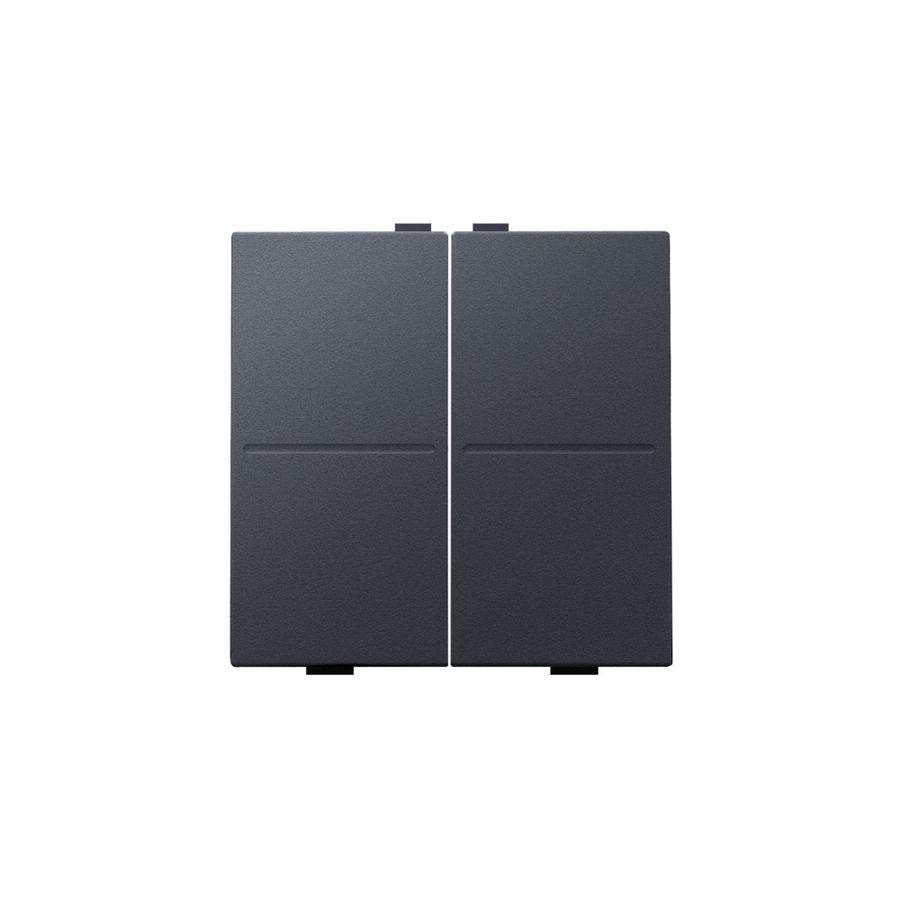 2-voudige toets RF schakelaar/drukknop anthracite