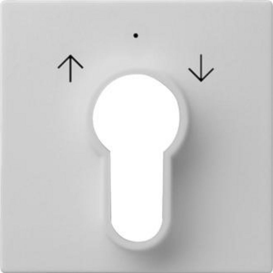 Afdekking sleutelschakelaar /-drukcontact System 55 grijs m
