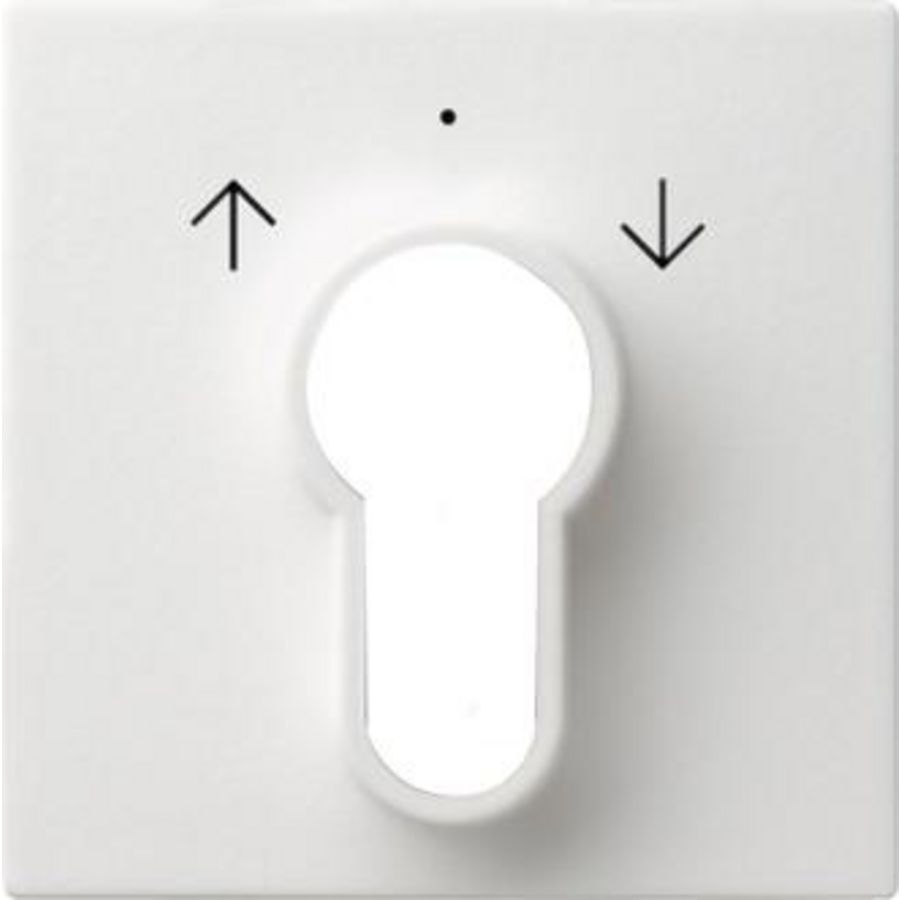 Afdekking sleutelschakelaar /-drukcontact System 55 zuiver wit