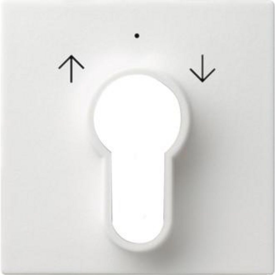 Afdekking sleutelschakelaar /-drukcontact System 55 zuiver wit m