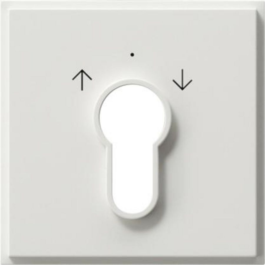 Afdekking sleutelschakelaar /-drukcontact Gira TX_44 (SW IB) zuiver wit