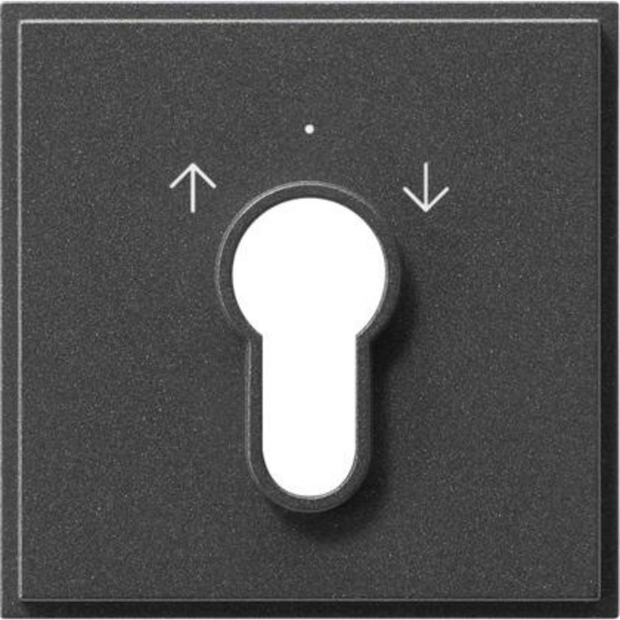 Afdekking sleutelschakelaar /-drukcontact Gira TX_44 (SW IB) antraciet
