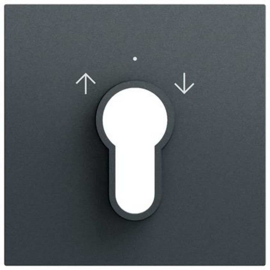 Afdekking sleutelschakelaar /-drukcontact System 70 antracit(gel.)